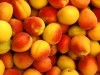 Крым снова может остаться без урожая персиков