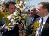 Медведеву в Крыму нашли цветущие деревья (фото)