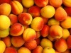 Крымские абрикосы в Одессе можно купить в 2 раза дешевле, чем в Крыму