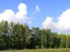 Симферопольцы вышли на охрану лесополосы от застройки