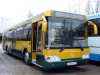Троллейбусы в Симферополе частично заменят 40 автобусами