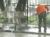 В Симферополе снова укладывают асфальт в дождь (видео)