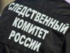 СК РФ не будет проверять губернатора Севастополя по новому референдуму о присоединении