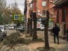 В Симферополе начали рубить деревья на новой улице (фото)