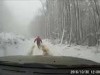 В Крыму джип уехал от водителя в горах (видео)