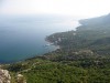 Крым и Севастополь не хотят делиться друг с другом лесом под Форосом