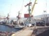 ФАС начала масштабную проверку тарифов на морские перевозки в Крым