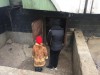 Семилетняя крымчанка жила с бомжами месяц в подвале (фото)