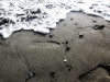 Более 3/4 пляжей Крыма не готовы к открытию сезона