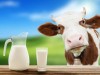 Местное молоко в Крыму не может быть дешевле привозного