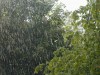 Сегодня в Крыму сильные дожди