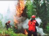 В лесах Крыма продлили пожароопасный период