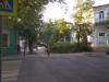 Дерево рухнуло на дорогу в центре Симферополя (фото)