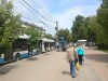 Новый мэр Симферополя освоит маршрутки и троллейбусы