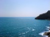 У побережья Крыма сокращается популяция полезных водорослей