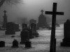 В Севастополе организовали нелегальное кладбище