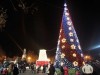 Севастополь поставит свою елку раньше Крыма