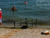 Севастополь сдаст в аренду свои пляжи сразу на 10 лет