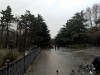 Гагаринский парк в Симферополе обещают сильно изменить