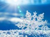 Крыму обещают еще два дня снегопадов
