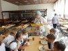 Севастопольских школьников кормят на 100 рублей в день