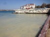 Море в центре Севастополя приобрело туалетный цвет (фото)