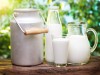 В Крыму надеются, что местного молока хватит на всех