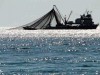 Украиских рыбаков задержали у Крыма за незаконный промысел камбалы