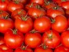 В крымские помидоры вложат 3,7 миллиарда рублей