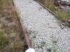 В Симферополе чиновники нашли ничейную железную дорогу и опечатали рельсы (фото)