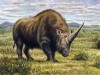 В Крыму нашли кости древнего носорога