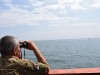 США собираются помочь отстраивать украинский флот