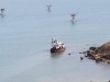 Тонувший у Крыма буксир выбросило на берег (фото)
