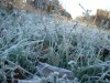 Крыму снова предрекли заморозки