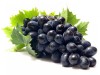 Крымская Массандра заявила о "выдающемся" урожае винограда