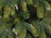 В Керчи уже ставят новогоднюю елку