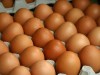 Крымчан оставили без тысяч яиц
