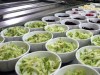 Десятки детей в крымском лагере отравились салатом