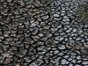 Крыму спрогнозировали засуху