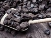 Крымский чиновник незаметно украл 15 грузовиков с углем