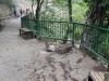 В Крыму после обвала снова открыли проход на водопад Учан-Су
