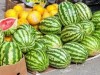 В Крыму начался сбор арбузов и дынь