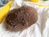 описание из заголовка