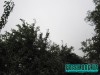 Погода в Симферополе на неделю: Снова дождь