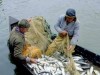 В Крыму поймали браконьеров с уловом ценной рыбы