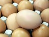 В Украине самые дешевые яйца - в Крыму