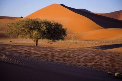 Типичный намибийский пейзаж лучше наших. Фото namibia.ru