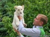 Директор ялтинского зоопарка "Сказка" подал в суд иск на действия Рескомзема Крыма