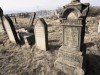 В Симферополе стало меньше кладбищенских вандалов