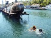 В Крыму на подводной лодке "Запорожье" "случился взрыв"